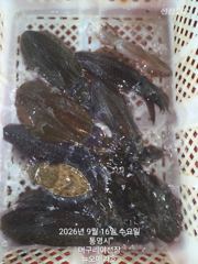 무늬 130수 사진