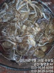 16일 오전반