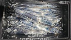 내만 은빛 갈치 대박 조황 오늘 내만 갈치 무조건 출항 자리여유많음 사진