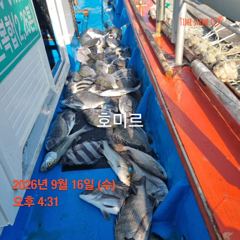 .호미르호 선상 찌낚시 사진