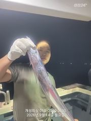 은빛 텐빈 내만갈치 느나느나 조황 내일 무조건 출항 자리여유많음 사진