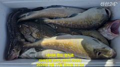 2026 09 17 대구라바 사진