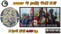 9/17 목 [13물] 쭈꾸미/갑오징어 조항 입니다. 사진