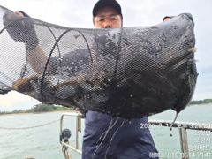 해복호 17일 조항 사이즈 위주로 다녀와습니다. 사진