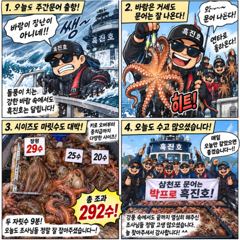 삼천포 문어낚시｜돌풍 속 주간문어 292수! 장원 29수·키로오버까지 사진
