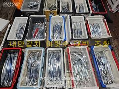은빛 내만 갈치 텐빈 느나느나 조황 오늘 무조건 출항 자리여유 사진