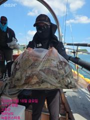 녹동몬스터호 18일 주간 문어 조황. 오늘도 대박~~!! 사진