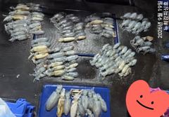 [통영] 세자리 조황~ 사이즈도 굿!!!일요일 널널합니다. 사진