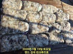 19일 군산 썬크루즈호 쭈꾸미 조황입니다 사진