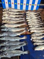 격포 새천년호 글만 보기 사진