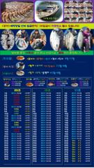 ♥괴물급 5짜 붉바리들 괴물급 퍼레이드 이정도는 잡아봐야지요 초대박 붉바리조황입니다[2026년09월19일] ◎ 해마루호가 뜨는이유? 조황때문이죠 ◎ 핵심포인트: 바로진입.. 바로히트.. ◎ 차원이 다른 조황으로 모십니다 ▣ 요즘 붉바리낚시가 대세입니다 사진