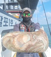 9월19일 팔포1호 돌문어사냥 장원 36수 찍고 마무리합니다 ((돌문어사냥은 계속 이어집니다)) 사진