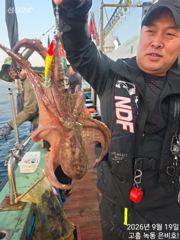 9월 19일 간만에 문어사냥 사진