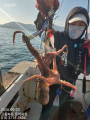 9월20일 고흥녹동 로아피싱 문어조황입니다 사진