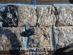 [홍원항신세계호] 9월20일(일) 바닥만 찍으면 올라오는 굿조황!! 사진