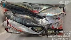 내일 월요일 먼바다 갈치 자리 여유 있습니다 .황제낚시가능.여수 피싱도시어부 16석루키나호 사진