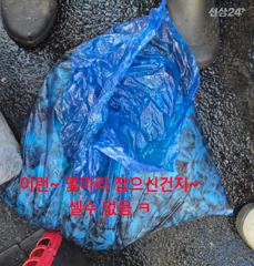 9월 20일 쭈꾸미 조황 사진