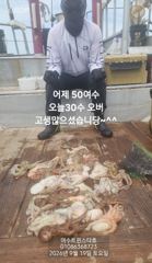 여수돌문어 대박행진ㆍ추석당일새벽00시출항자리가능 사진