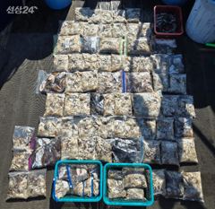 9.20 라이즈호 조황정보(당진 장고항) 사진