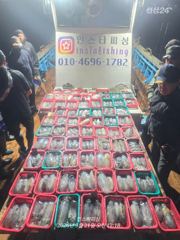 [영덕] 강구 인스타피싱 ~ 무늬팁런 300수 작고 철수했습니다.. 낼 …