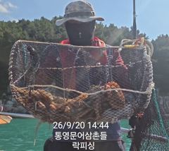 [통영] (문어)연타작령~냉장고 포인트 K급까지 쩍쩍~락피싱(22일 예약… 사진