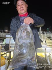 삼천포 마린보이 9. 22. 화요일 풍성한 주간문어 뜯으로 출항합니다. 사진