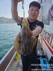 20일 금오열도 무늬오징어 조황입니다 사진