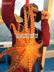21일 주간문어~오늘도 잘 나오고있어요~~~덩치급 문어들~길시간~ 군산낚시프라자 임마누엘호 사진