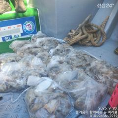 20일 뉴미라클 단체 주꾸미 사진