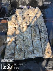 왕쭈꾸미 대박 조황입니다 사진