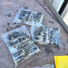 오전 시간배 조황 사진