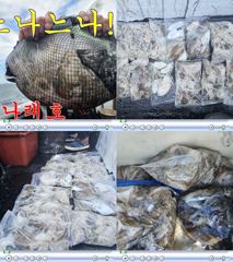 신나래호)가을쭈꾸미오늘도하루종일잘나오내요 사진