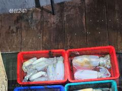 [고성] 오늘도 키로오버 몬스터와 왕무시들로 65개 사진
