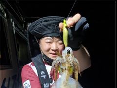 무늬오징어 조황~ 1인평균 10마리 사진