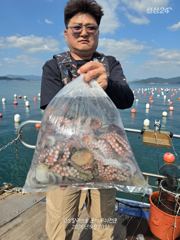 [고성] 무늬 팀런 호조항 이벤트 DAE 8일