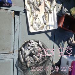 [고성] 22일 감성돔 흘림 조황입니다.