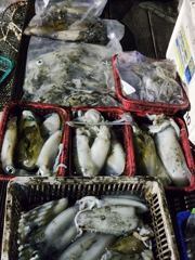 [거제] 야간(무늬오징어) 팁런 바글바글 줄줄이 손맛~대동낚시(23일 예… 사진