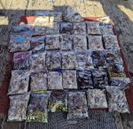 9월22일 오전.오후 시간배 한번에 올릴께용~^^ 오전배 장원(147수)오후배 장원(130수)평균적으로 .. 사진