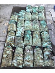먹물조황 글만 보기 사진