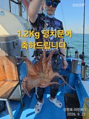 삼천포 마린보이 9. 22. 화요일 주간문어 대박 조황으로 다녀왔습니다. 사진