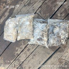 맛베기로... 사진