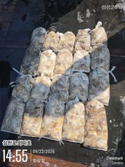 화요일 왕쭈꾸미로 좋은 조황입니다 사진