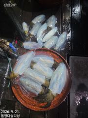 20일[팁런]키로오바와 잔당 백바리~ 사진