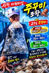 주간:주꾸미 & 야간:돌문어 ~내일 출조확정~예약받습니다 사진
