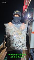 9월22일 팀보스선단 야간문어 조황 사진