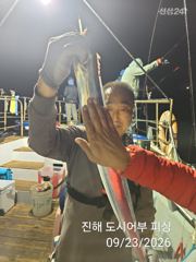 23일 내만갈치 용가리 다수!! 너무 커요~!! 금요일부터 예약가능