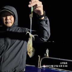 [거제] (무늬오징어)내만 씨알 UP 마릿수 확실하게~스마일호(오늘 예약… 사진