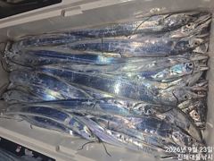 [진해] 와우~23일새벽,내만칼치 끝없는피딩 쿨러넘쳐넘쳐초대박~일,월,화… 사진