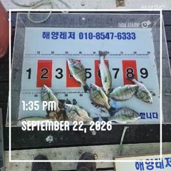 해양레저 흘림 감성돔 돌문어 갑돌이 조황 사진