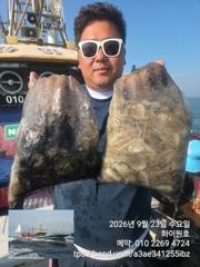 23일, 군산쭈꾸미,연일 좋아요~빵빵한 망탱이 굿조황~~군산낚시프라자 하이원호 사진